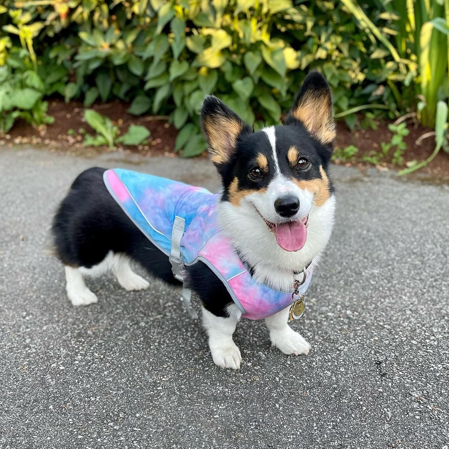 Sevaros DogGuard™ Dog Cooling Vest UV Protection Breathable Lightweight — Summer Heat Relief Harness Vest for Dogs S M L XL XXL