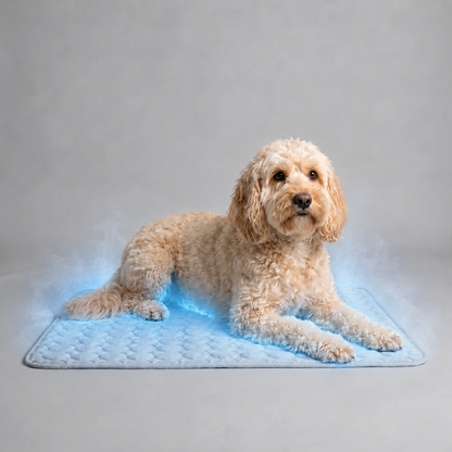 Sevaros ChillDog™ Dog Cooling Mat Self Cooling Pad Pressure Activated — Pet Cooling Bed for Dogs Cats No Electricity Summer Heat Relief Indoor Outdoor