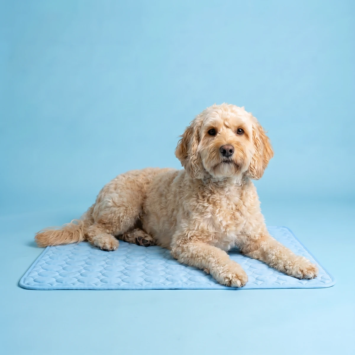 Sevaros ChillDog™ Dog Cooling Mat Self Cooling Pad Pressure Activated — Pet Cooling Bed for Dogs Cats No Electricity Summer Heat Relief Indoor Outdoor