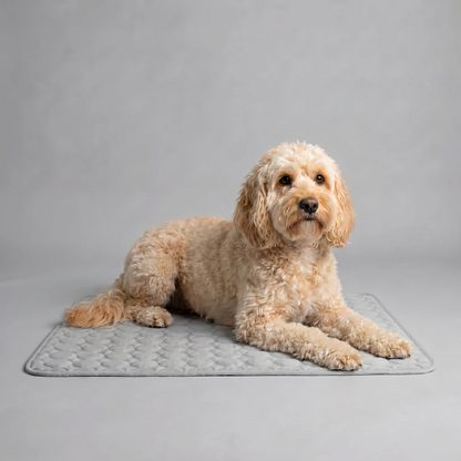Sevaros ChillDog™ Dog Cooling Mat Self Cooling Pad Pressure Activated — Pet Cooling Bed for Dogs Cats No Electricity Summer Heat Relief Indoor Outdoor