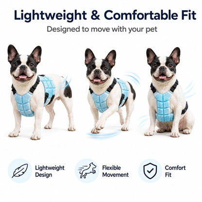 Sevaros FrostPaws Pet Cooling Vest Phase Change No Electricity – Reusable PCM Cooling Harness for Dogs Cats Summer Walks Outdoor | Sevaros FrostPaws